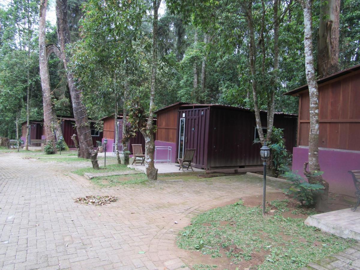 Lawu Forest Camp Sarangan Exterior photo